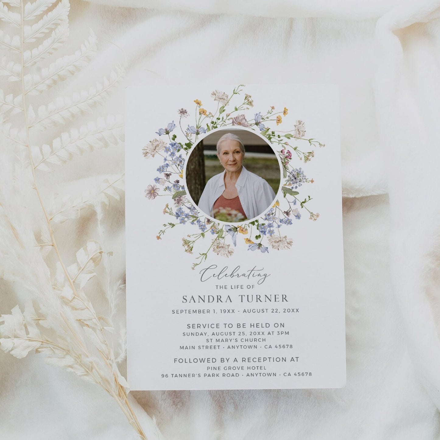 Meadow of Wildflowers