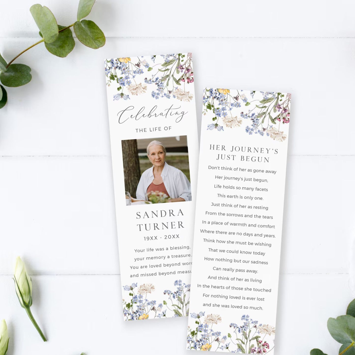 Meadow of Wildflowers