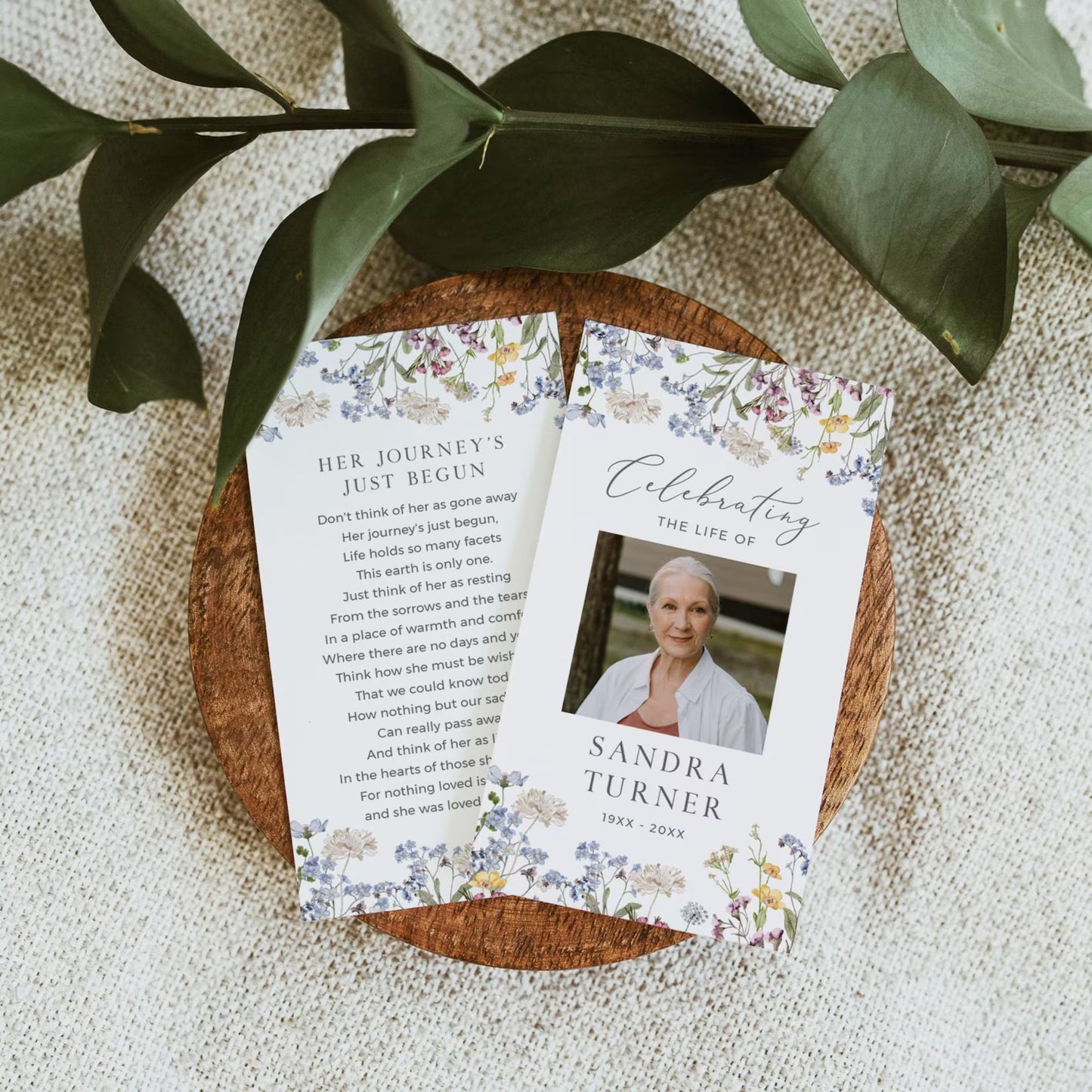 Meadow of Wildflowers