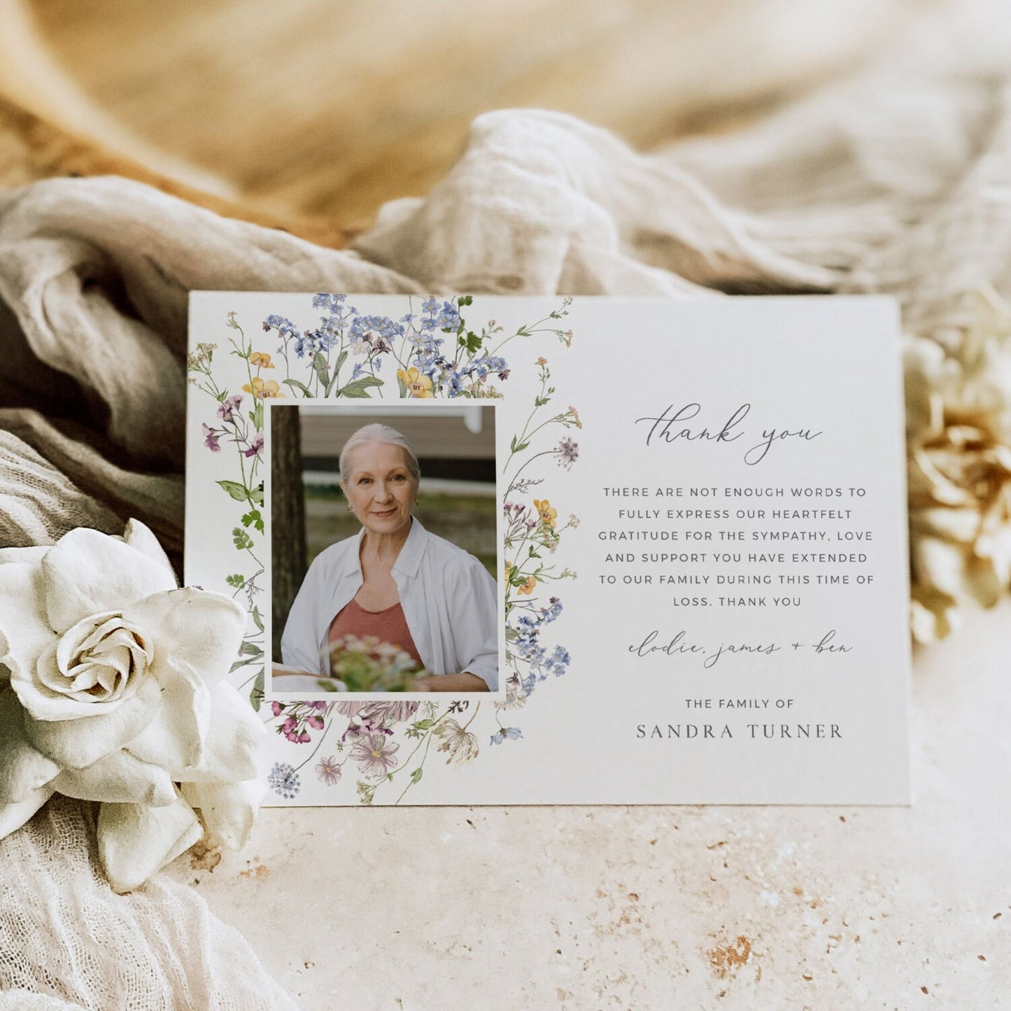 Meadow of Wildflowers