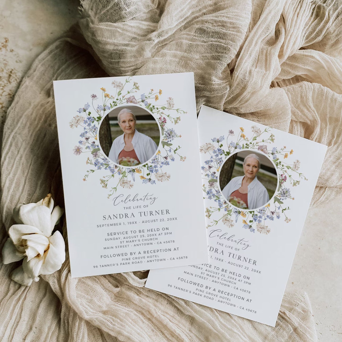 Meadow of Wildflowers