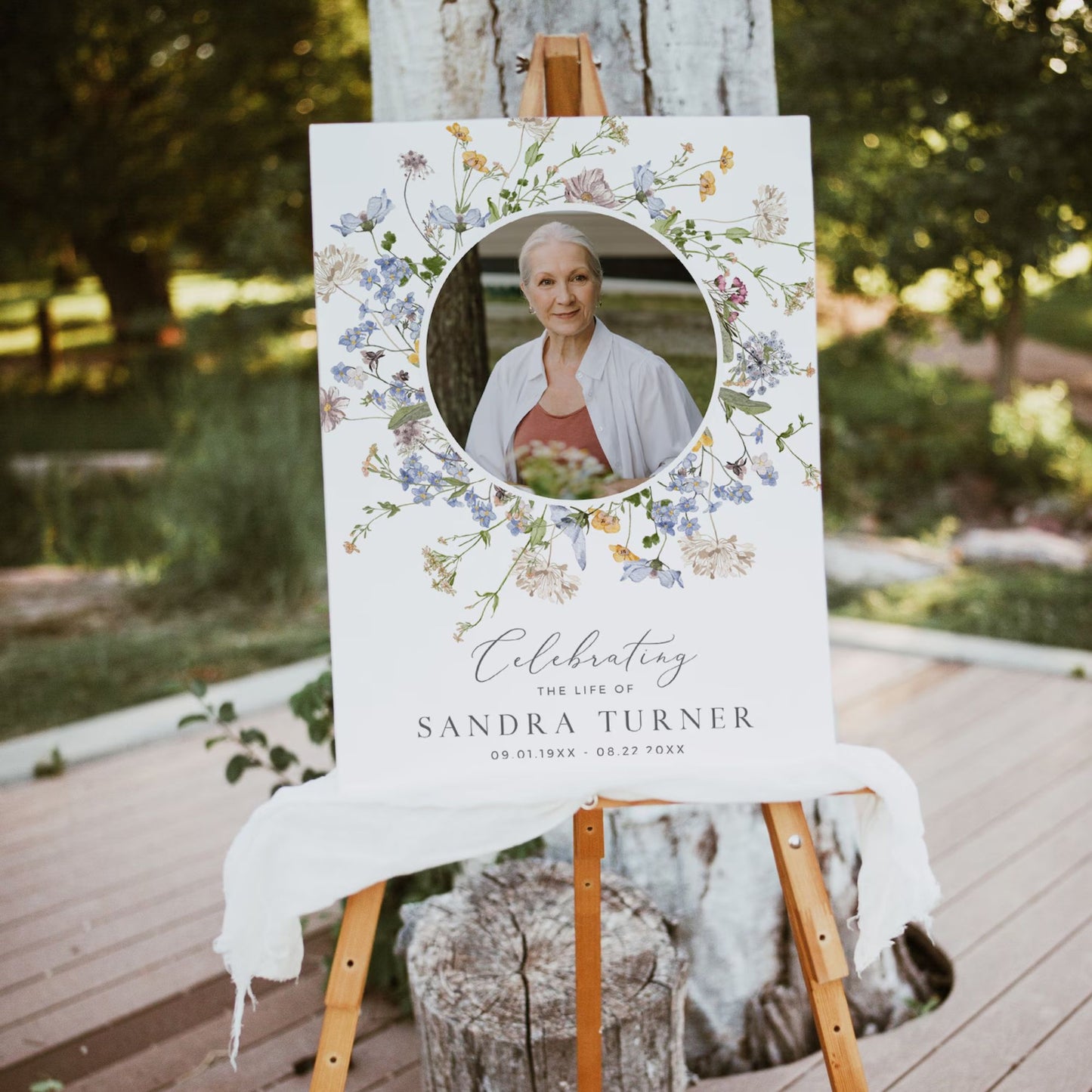 Meadow of Wildflowers